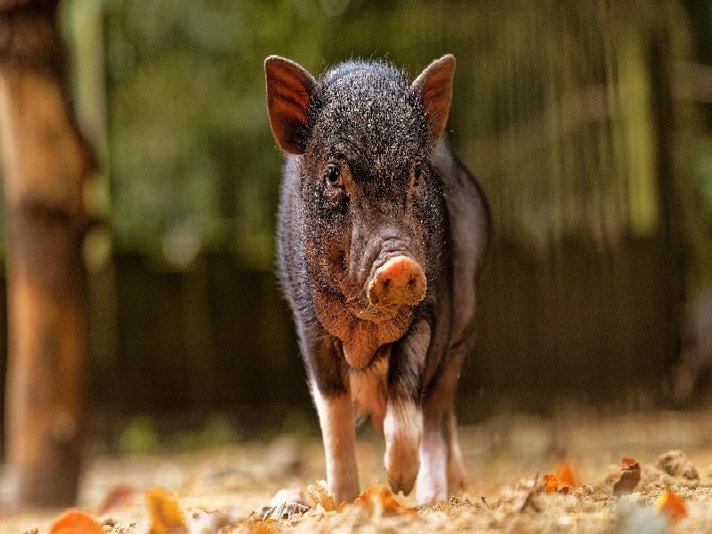 沈阳三代供卵例子,山东临沂做试管婴儿成功率最高的医院是哪里？如何选-沈阳